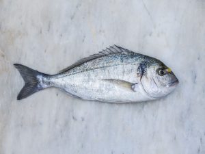Dorada de Estero Lubimar